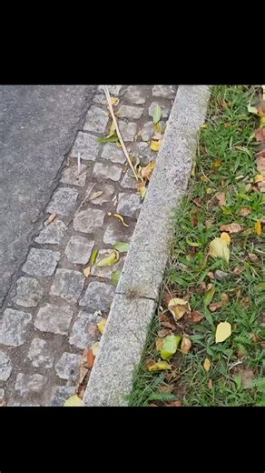 💥 22. Crash Car Rennen Hartha – Wetter? Egal, wir fahr’n trotzdem! 💥 Regen? Schlamm? Perfekt – dann rutscht’s wenigstens besser! 🌧️😂 Das Crash Car Team Erzgebirge ist wieder unterwegs, bewaffnet mit Kabelbindern, Resthoffnung und ganz viel Bock! 💪 Mit dabei: 🚗 Elias & Felix – NFZ-Maiwald 🚜 Oli & Richard – Permanent Racing 💥 Kai – Crash Dukes Seiffen Wir sind keine Rennfahrer, wir sind eine Gemeinschaft aus Wahnsinnigen mit Startnummern! Wenn’s kracht, dann richtig – und wenn’s regnet, da