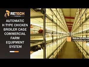Automatic H Type Chicken Broiler Cage Commercial Farm Equipment System - RETECH Farming