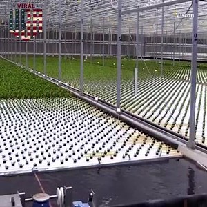 266K views · 2.5K reactions | Hydroponic farming... | World of Agriculture & Machines | Facebook