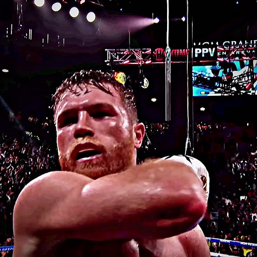 Canelo Alvarez Knockouts | Short Clips of Power