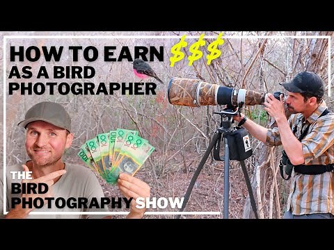 How to EARN Money As a Bird Photographer | Our Photo of The Week Picks!