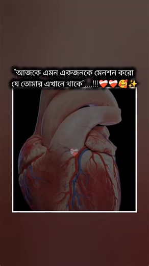 আজকে তোমার পাটনারকে মেনশন দাও যে তোমার এখানে থাকে 🥰☺️☺️........................ #cap_cut_edit_video👑 #বলে_যাও💝👀🦋🌈 #lagaforyoupage🔥 #tasnuvaislam363 #viral @BTS @hobipower @For You @TikTok @🐼ℙ么ℕⅅ么🐼