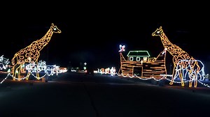 49 reactions | ✨ The holidays shine a little brighter in Jackson! With twinkling lights, charming communities, and festive events around every corner, Jackson County is the perfect backdrop for your seasonal celebrations.  Embrace the joy and let the holiday magic linger just a bit longer. Find your next holiday event at experiencejackson.com | Experience Jackson | Facebook