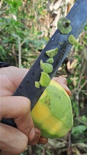 pasangsn sambal terasi#fruit #shorts