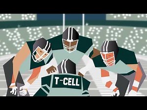 Re-training Your Immune System to Tackle Cancer: Explaining CAR T-cell Therapy