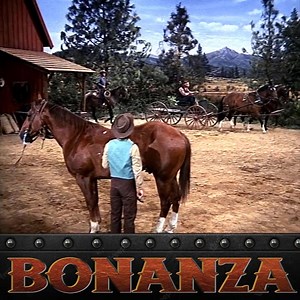 15K views · 610 reactions | Bonanza Season 12 Episode 14- For a Young Lady - P3 | Bonanza Forever | Facebook