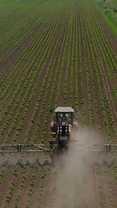 🚨 Dicamba: Banned Twice, Back Again? 🚨 The EPA just proposed re-approving dicamba - a dangerous pesticide so volatile it’s been banned by federal courts… twice. Since its rollout, dicamba has caused the worst crop damage in U.S. history, devastated pollinators, and torn apart rural communities. 🦋 Now, EPA wants to bring it back with even fewer restrictions. We’re fighting back, but we need your voice. 📣 Tell EPA: Don’t re-approve dicamba! Comment ‘HELP’ below to submit your public comment to