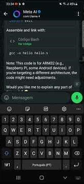 meta ai hello world asm