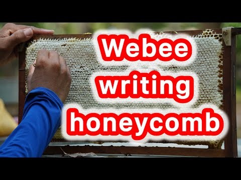 Raw Honey & Bee Art 🍯 Writing ‘Webee’ on a Honeycomb 🐝