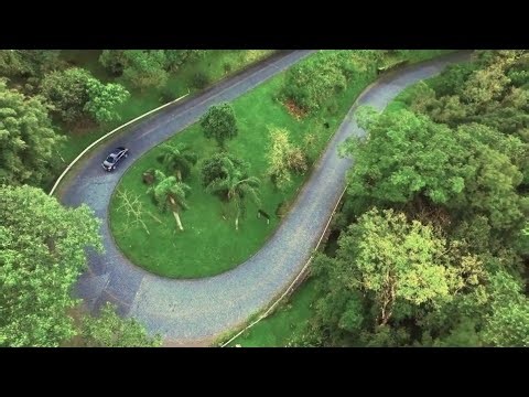 CAMINHANDO pela FACE SUDESTE do PICO SETE até chegar na CURVA da FERRADURA