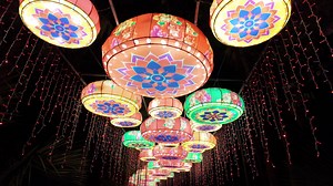 Stroll and enjoy thousands of LED lights. | Central Florida Zoo & Botanical Gardens | Facebook