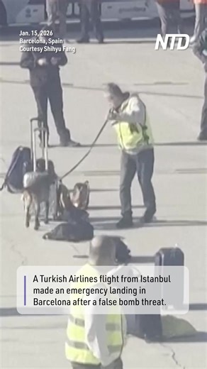 A false bomb threat delivered via an onboard mobile connection caused a Turkish Airlines flight from Istanbul to make an emergency landing at Barcelona's El Prat Airport on Jan. 15, Spanish police and the airline said. | NTD Television