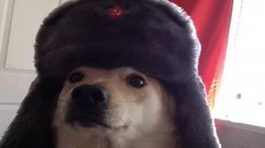 Comrade Doggo | Know Your Meme