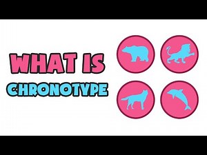 What is Chronotype | Explained in 2 min