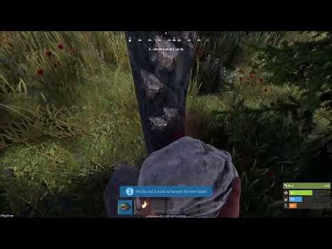 Rust first ever look