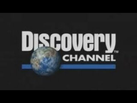 Discovery: Oт зачатия до рождения: Удивительное тело (2005)