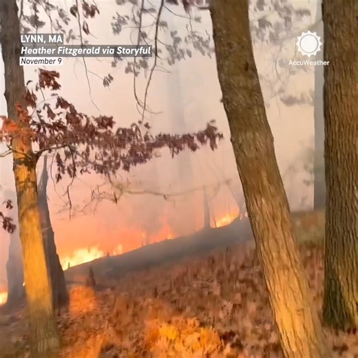 14K views · 378 reactions | A brush fire was sparked on Saturday in Lynn, Massachusetts, amid dangerously dry conditions. More on the drought conditions in the Northeast: https://bit.ly/4fGGCT6 | AccuWeather | Facebook