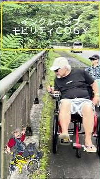 奄美大島―COGYが広げる新しい旅の可能性 in 朝戸ヒカゲヘゴ側道／奄美大島 #wheelchair #ツユニバーサルツアー #奄美大島 #ヒカゲヘゴ#R58