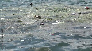 Trash and garbage floating on the surface of the water. Water pollution with dirt and plastic garbage floating on the surface of the sea