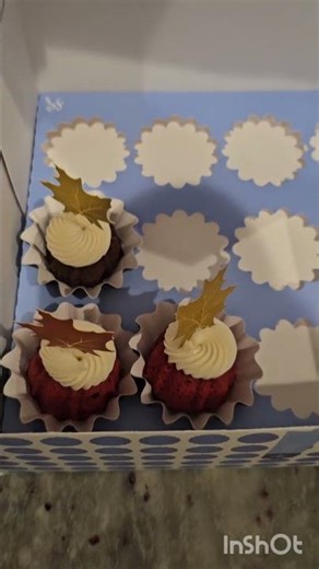 My reaction of this on Thanksgiving rather than pumpkin pie