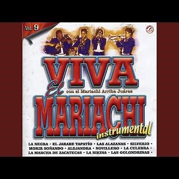 La negra (Instrumental)