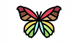 butterfly insect color icon animation