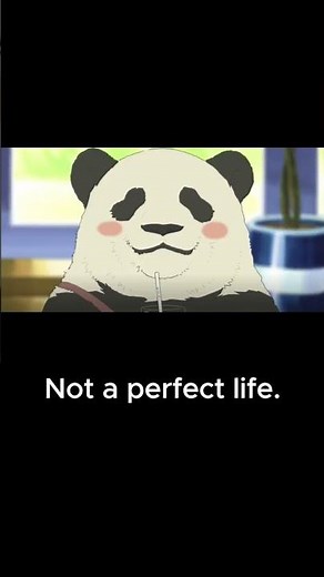 You Don’t Need to Become Someone The Quiet Wisdom of Shirokuma Cafe