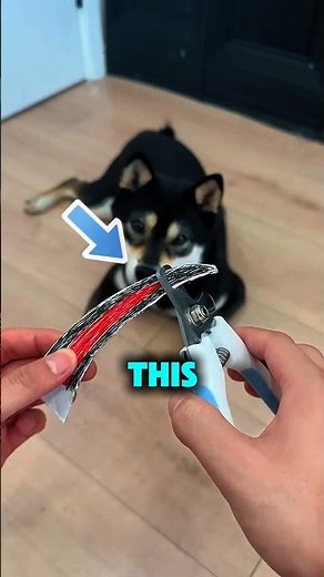 This Dog Nail Clipper Is Pure Genius! 🐶💡