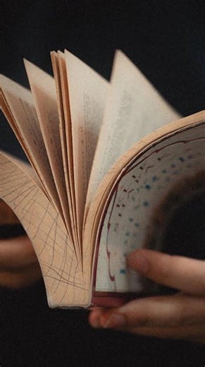 Voynich Manuscript: Unsolved 600-Year Mystery! #306
