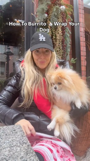 Why burrito swaddling your dog helps!👇 🐶🌯 This also helps to keep your SNUGGIT extra clean over the winter months ❄️ And summer months that may get muddy or Sandy from hiking adventures or walks! 🐕🐾 I use a thin cotton tea towel, you can use anything you have around the house! For even easier full proof , anyone can do it version try out one of our SNUGGLE SACS it’s like a silky soft sleeping bag inside “any” carrier!!🐶💕💙 SNUGGIT CARRIER SIZE SHOWN: Size XS in our red vegan ultra suede c