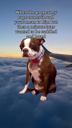 Dealing with Pregnancy Rage: A Funny TikTok Meme Compilation