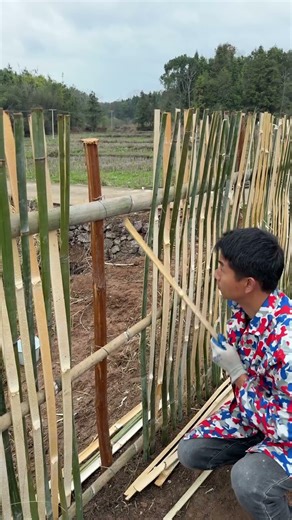 Build a Pastoral Fence with Bamboo, Simple and Eco-friendly Rural Tips