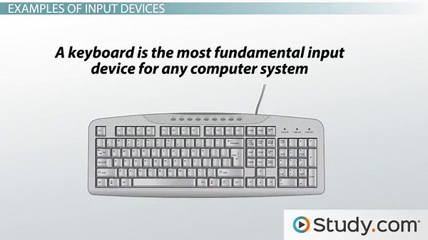Input Devices | Purpose, Types & Examples