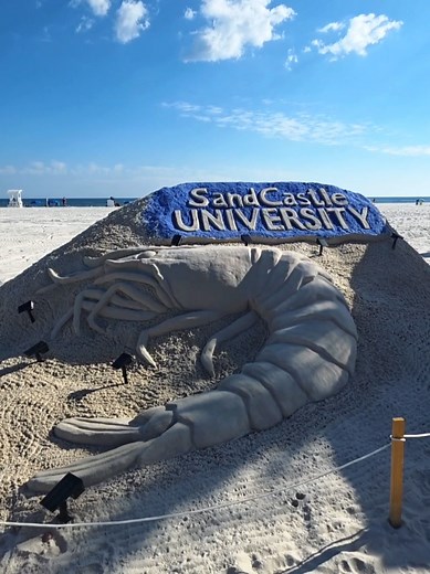 Shrimp Fest 2025 This was our 6th year creating a sculpture for Shrimp Fest in Gulf Shores, Alabama. We decided to go big and bold! A blue backed logo and a giant shrimp were just the thing to make us stand out. #shrimp #asmr #sand #sandcastle #sandsculpture