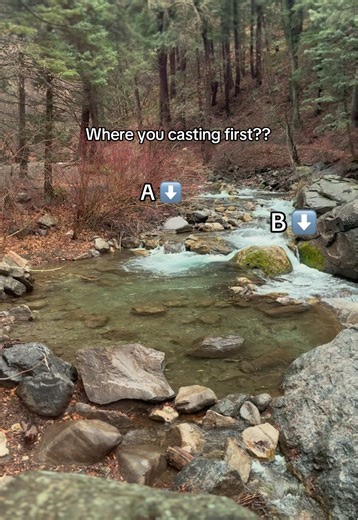 Choosing the Best Casting Spot in Fly Fishing