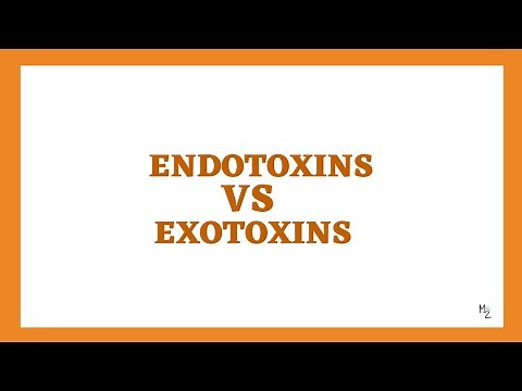 Endotoxins VS Exotoxins
