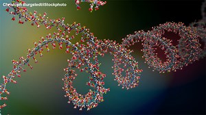 A Brief History of Protein Biosynthesis and Ribosome Research - Topic | Lindau Mediatheque