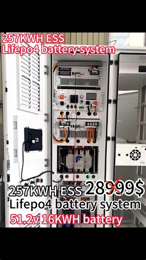 Popular ALL-in-One 257KWH Energy Storage System , PCS, MPPT, 16KWH Lithium battery 314ah#BatteryEnergyStorageSystem#energystoragesystem#batterysystem#SolarESSCabinet#BatteryStorageCabinet