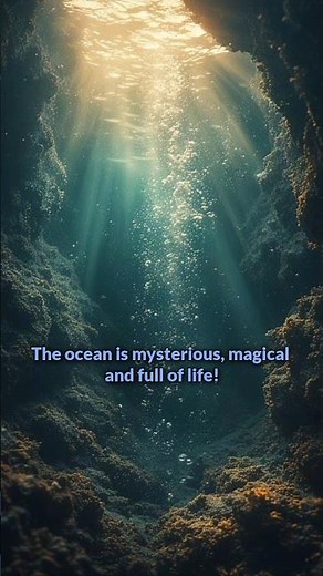 The Ocean — The World’s Largest Aquatic Habitat | Marine Life Facts for Kids