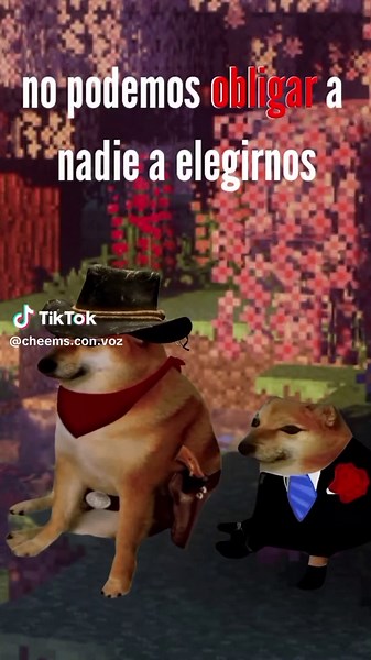 no podemos obligar a nadie a elegirnos. cheems con voz #minecraft #amor #consejos #motivation #cheems @#foryou @creator search insights 2025