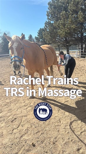 Last weekend, The Right Step instructors, exercise riders, and board members took a massage and stretching training from our resident expert, Rachel Granado of Graceful Gaits. Rachel taught our team gentle massage and cooldown stretches. PLEASE NOTE: Volunteers, remember that massage techniques and stretches can be done incorrectly and cause harm. Do not massage or stretch a horse unless you’ve done the training or are supervised by someone who has. Thanks for the 📷 @natlam144! #adaptiveriding 