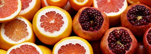 The Ultimate PEEL Paragraph Checklist