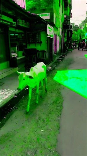 POV: Kya hoga jab ek alien pehli baar camera dekh lega? 👽📸