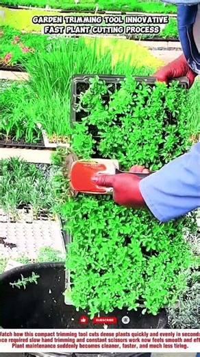 Garden Trimming Tool Innovative Fast Plant Cutting Process