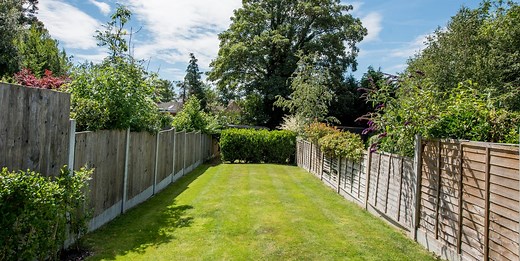 Neighbour’s tree overhanging your garden? Here's who is responsible – and what you can do