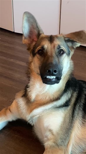 beep bop boop bop (@meelzonwheelz28)’s videos with You've been with who？ - Tik Tok