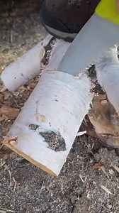 Survival Skills in The Forest #forest #tips #outdoors #survival #skills #campinglife #craft #bushcraft #camping #diy | Trap Three