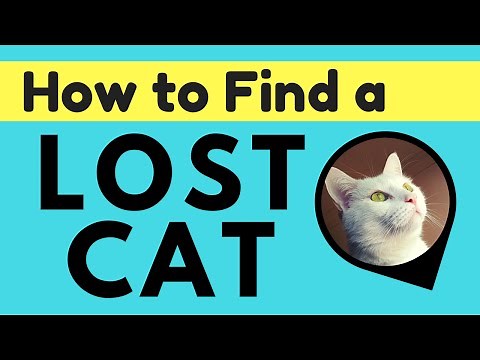 5 TIPS: FIND YOUR LOST CAT | Pod GPS Tracker
