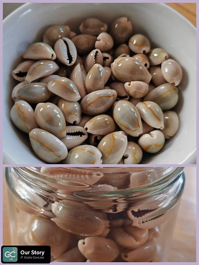 7 comments | COWRIE SHELLS TRADITIONS: Good Luck, Protection and Healing Powers. Throughout history the Cowrie shell has been revered as a potent charm for Good Luck & Protection. In Africa cowrie were sewn into garments, worn as Amulets, placed on Altars to safeguard against evil spirits and misfortune. Meta #followers #nonfollowers #algorithm #starsenders #viewers #friends | Kinga Malinoski | Facebook