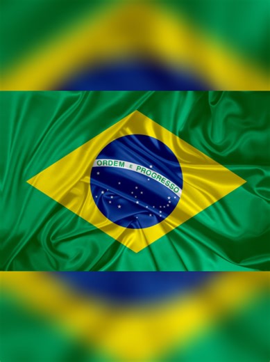 Brazil's Police Forces: A Global Leader in Law Enforcement
